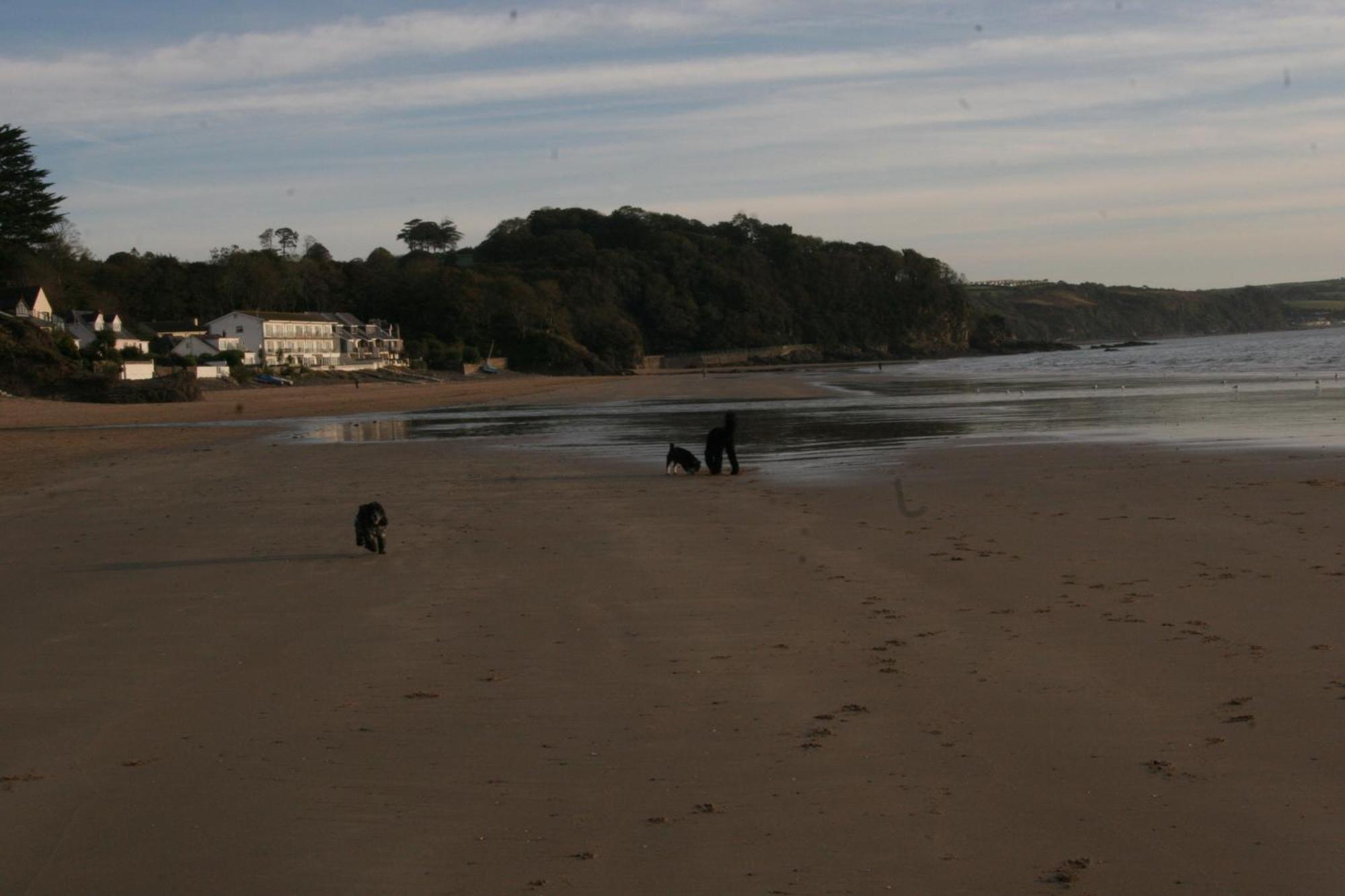Nythfa Guest House Saundersfoot Dış mekan fotoğraf
